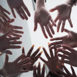 Diversity & Inclusion