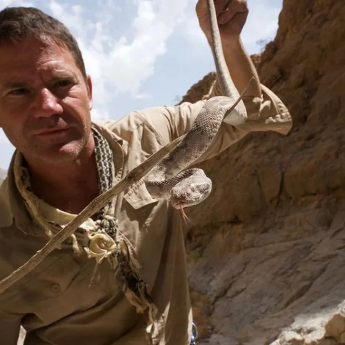 Steve Backshall