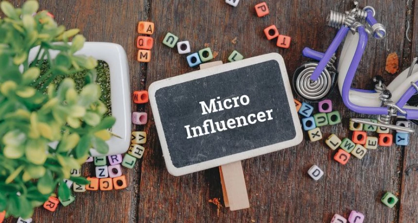 Successful Micro Influencer Campaigns