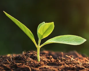 Sustainability