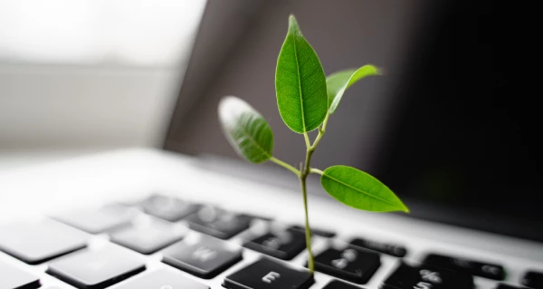 The Official Top 20 Sustainability Influencers to hire in 2025