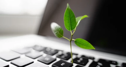 The Official Top 20 Sustainability Influencers to hire in 2025