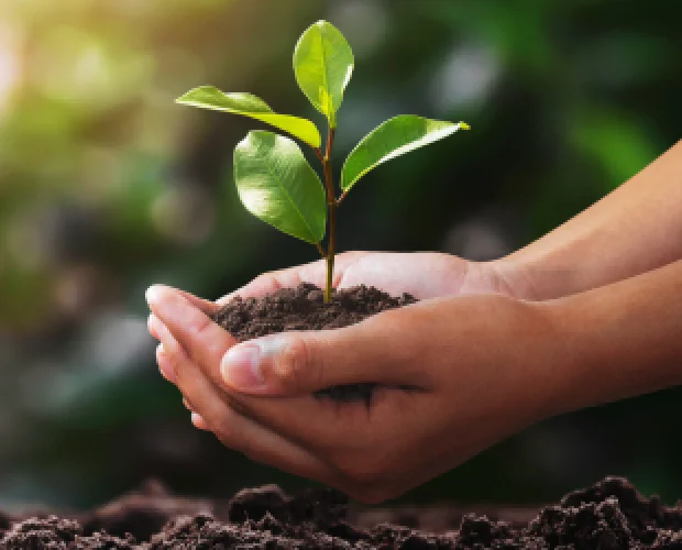 Sustainability